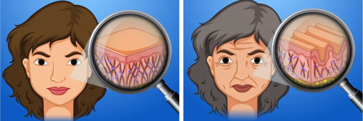 Red Light Therapy Before and After